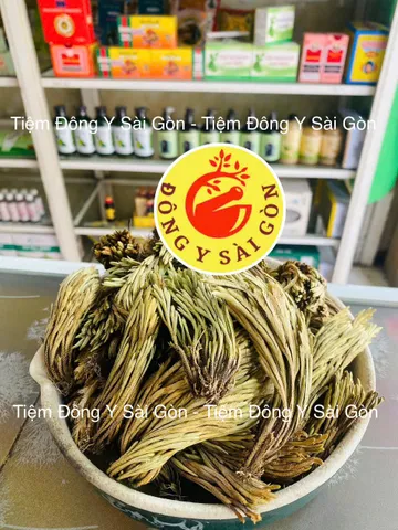Cây Trường Sinh - Móng Lưng Rồng 1kg - Thực Phẩm Khô Hỗ Trợ Sức Khỏe, Chữa Đau Nhức, Bỏng, Trĩ Xuất Huyết Việt Nam