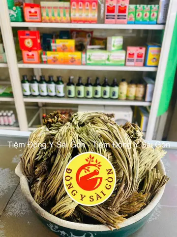 Cây Trường Sinh - Móng Lưng Rồng 1kg - Thực Phẩm Khô Hỗ Trợ Sức Khỏe, Chữa Đau Nhức, Bỏng, Trĩ Xuất Huyết Việt Nam