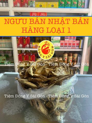 Ngưu Bàng Khô Nhập Khẩu Nhật Bản 100g - Thanh Nhiệt Giải Độc, Hỗ Trợ Tiểu Đường, An Toàn Cho Sức Khỏe