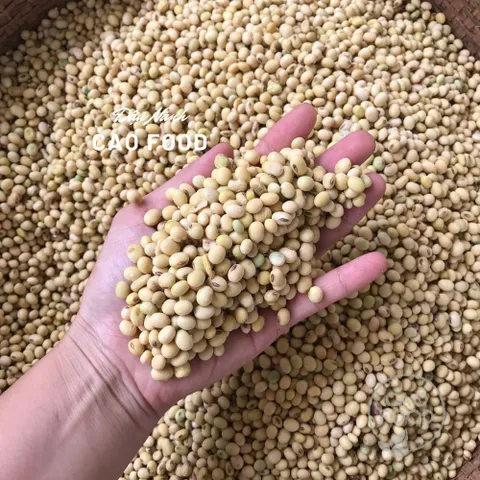 Đậu Nành Quê 1KG - Hạt Đỗ Tương Không Biến Đổi Gen, Chứa Nhiều Dinh Dưỡng, Thay Thế Hạt Ăn Vặt Tốt Cho Sức Khỏe