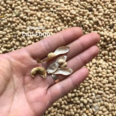 Đậu Nành Quê 1KG - Hạt Đỗ Tương Không Biến Đổi Gen, Chứa Nhiều Dinh Dưỡng, Thay Thế Hạt Ăn Vặt Tốt Cho Sức Khỏe