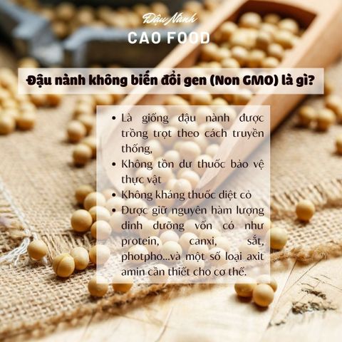 Đậu Nành Quê 1KG - Hạt Đỗ Tương Không Biến Đổi Gen, Chứa Nhiều Dinh Dưỡng, Thay Thế Hạt Ăn Vặt Tốt Cho Sức Khỏe