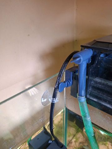 Hít Kính Giữ Ống Dây Oxy - CO2 Cho Hồ Cá Cảnh - Phụ Kiện Bể Cá An Toàn và Thẩm Mỹ