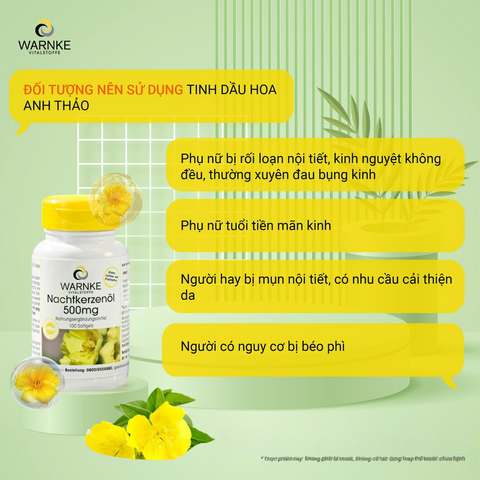 (Nội Địa) Lọ 100 Viên Uống Hoa Anh Thảo Warnke Nachtkerzenöl 500mg Cân Bằng Nội Tiết Tố