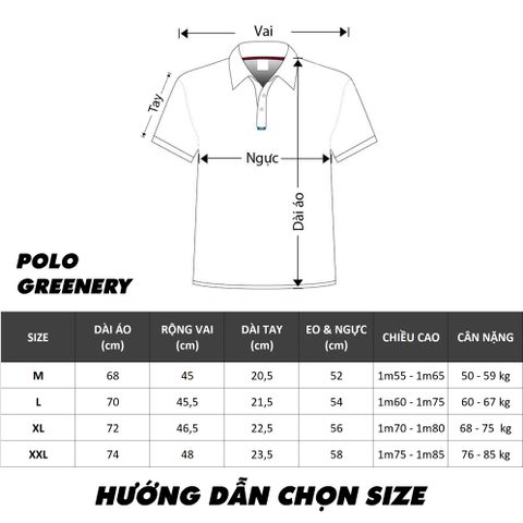 Áo Polo Nam TROMBE GREENERY Cổ Gân Phối Màu - Vải Pique Mềm Mại, Form Đẹp Tay Raglan Phong Cách Hiện Đại, Lịch Lãm Mặc Đi Làm, Đi Chơi