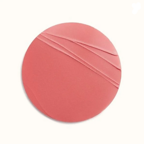 Son Hermès Rose Tinted 49 Limited Edition - Màu Hồng San Hô Tươi Tắn, Phù Hợp Mọi Phong Cách Trang Điểm, Sáng Bóng, Lớp Son Mỏng Mượt