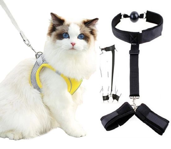 Dây Dắt Huấn Luyện Thú Cưng Tại Nhà Xmen - Chất Liệu Bền Bỉ, Thiết Kế Khoa Học, Giúp Kiểm Soát Hành Vi Thú Cưng Tốt Hơn