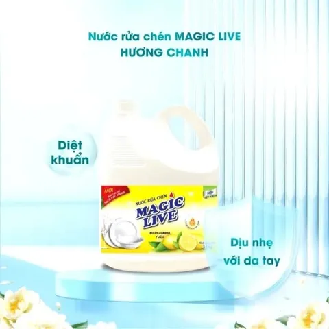 Nước Rửa Chén Magic Live Hương Chanh 800g - Làm Sạch Bát Đĩa Hiệu Quả, Khử Mùi Tanh, Dịu Nhẹ Với Da Tay - Sản Phẩm Gốc Việt Nam
