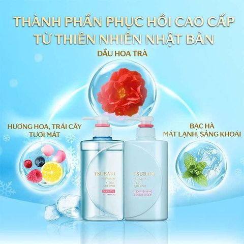 Bộ gội xả sạch dầu mát lạnh TSUBAKI Premium Cool Set 490ml x 2 [Date:12/2025] - Nana Shop