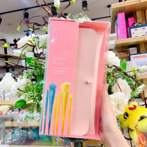 Bộ cọ trang điểm VACOSI 10 cây kèm ví hồng BC34 - Nana Shop