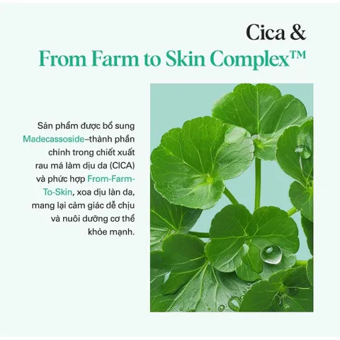 Sữa Tắm Ngừa Mụn Lưng & Cơ Thể Beyond Acne Clear Body Wash - Chăm Sóc Da Mịn Màng, Làn Da Sạch Sẽ, Giảm Mụn Hiệu Quả