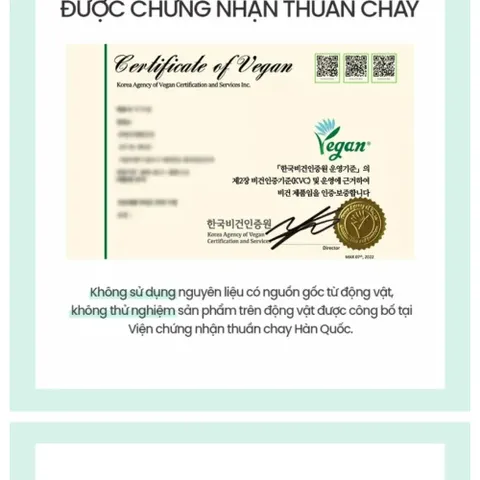 Kem Dưỡng Ẩm Thuần Chay BEYOND Angel Aqua Cica Cream - Làm Dịu, Phục Hồi và Giảm Kích Ứng Da Nhạy Cảm