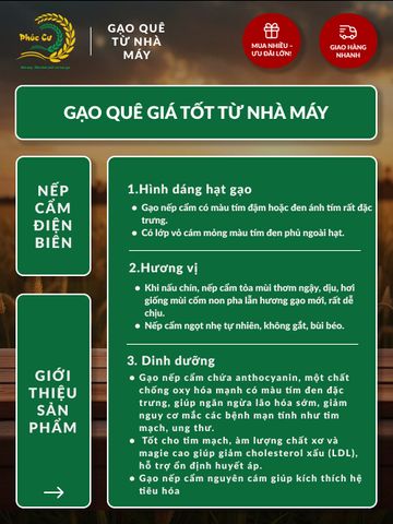 Gạo Nếp Cẩm Điện Biên 10kg - Đặc Sản Thơm Dẻo, Giàu Dinh Dưỡng, Thích Hợp Nấu Xôi và Bánh Ngọt