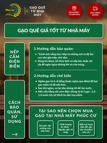 Gạo Nếp Cẩm Điện Biên 10kg - Đặc Sản Thơm Dẻo, Giàu Dinh Dưỡng, Thích Hợp Nấu Xôi và Bánh Ngọt