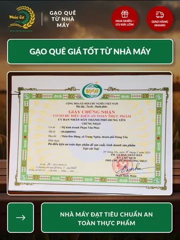 Gạo Nếp Cẩm Điện Biên 10kg - Đặc Sản Thơm Dẻo, Giàu Dinh Dưỡng, Thích Hợp Nấu Xôi và Bánh Ngọt