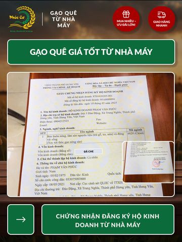 Gạo Nếp Cẩm Điện Biên 10kg - Đặc Sản Thơm Dẻo, Giàu Dinh Dưỡng, Thích Hợp Nấu Xôi và Bánh Ngọt