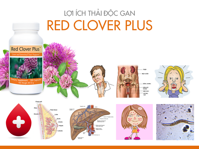 Red Clover Plus Unicity - Viên Bổ Gan Thải Độc, Phục Hồi Chức Năng Gan Từ Thiên Nhiên 100 Viên