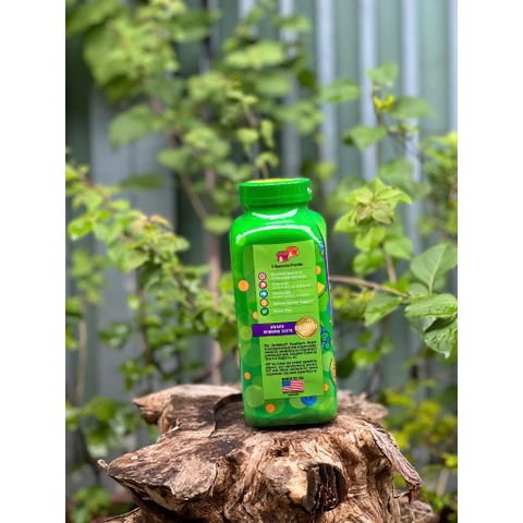 Date 8/25 Kẹo dẻo bổ sung Vitamin cho người lớn Vitafusion MultiVites Gummy Vitamins 260v 334864