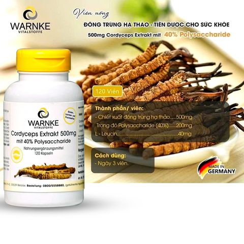 Đông trùng hạ thảo Warnke Cordyceps Extrakt 500mg Đức 120 viên