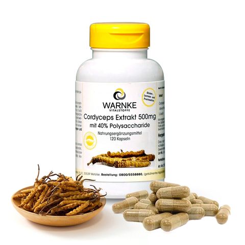 Đông trùng hạ thảo Warnke Cordyceps Extrakt 500mg Đức 120 viên