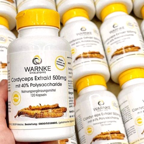 Đông trùng hạ thảo Warnke Cordyceps Extrakt 500mg Đức 120 viên