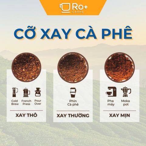 Cà Phê Gu Mạnh Nguyên Chất Rang Mộc Roplus - Combo 3 KG Cafe Pha Phin Pha Máy - Vị Đắng Đậm Đà, Hương Thơm Quyến Rũ