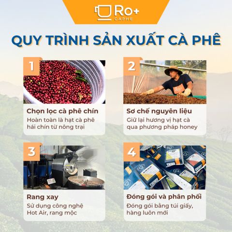 Cà Phê Arabica Cầu Đất Nguyên Chất Rang Mộc - Pha Phin & Máy Cold Brew, Hương Vị Tươi Sáng, 100% Tự Nhiên, Quà Tặng Tuyệt Vời
