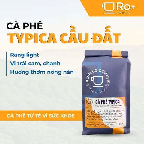 [HÀNG ĐẶC BIỆT] Cà phê Typica Cầu Đất Nguyên Chất Rang Mộc - Pha Phin Pha Máy Coldbrew-Specialty coffee Ethiopia arabica