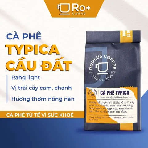 [HÀNG ĐẶC BIỆT] Cà phê Typica Cầu Đất Nguyên Chất Rang Mộc - Pha Phin Pha Máy Coldbrew-Specialty coffee Ethiopia arabica