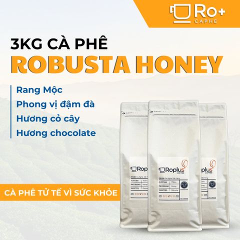 Cà phê Robusta Honey Roplus 3kg - Nguyên chất pha phin & pha máy, vị đắng thanh đậm, hương chocolate chuẩn Việt Nam