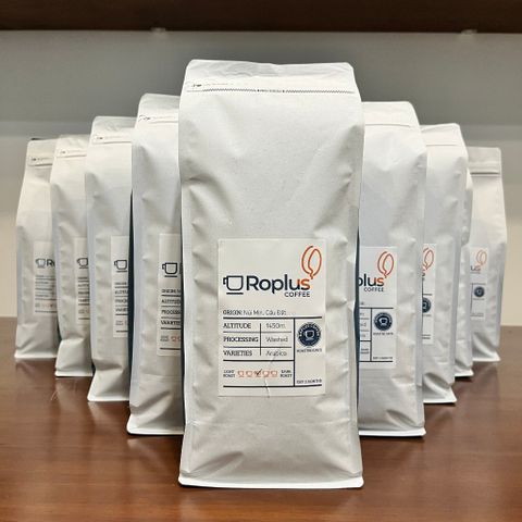 Cà Phê Arabica Cầu Đất Nguyên Chất Rang Mộc - Combo 10kg Pha Phin và Máy Cold Brew, Hương Vị Tươi Nguyên Bản