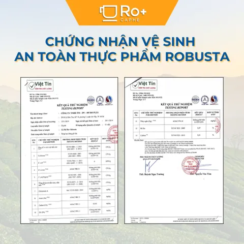 Cà phê Arabica Cầu Đất Nguyên Chất Rang Mộc 3 KG - Pha Phin & Pha Máy Cold Brew, Hương Vị Tươi Nguyên Bản, Không Phụ Gia