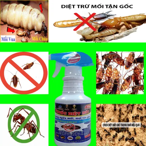 Thuốc Diệt Mối SIFA - An Toàn Hiệu Quả, Diệt Mối Tận Gốc, Dùng Cho Đồ Gỗ Và Các Khu Vực Mối Mọt