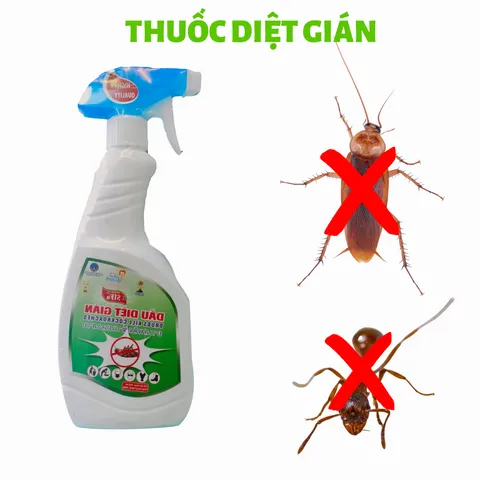 Thuốc Diệt Mối SIFA - An Toàn Hiệu Quả, Diệt Mối Tận Gốc, Dùng Cho Đồ Gỗ Và Các Khu Vực Mối Mọt