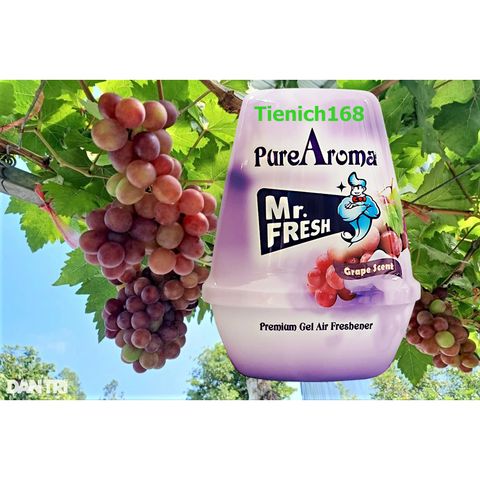 Sáp Thơm Phòng Khử Mùi Mr.fresh 220g - Hương Nho, Đào, Dứa, Mộc Lan - Khử Mùi, Đuổi Muỗi, Tinh Dầu Thiên Nhiên, Sảng Khoái
