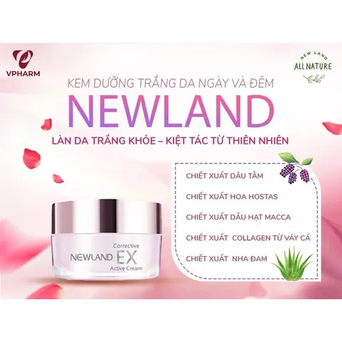 Kem Dưỡng Trắng Da Newland Corrective Ex Active Cream - Hỗ Trợ Dưỡng Trắng, Xóa Mờ Nếp Nhăn, Tươi Mát, Chăm Sóc Da Mặt Hàn Quốc 50g