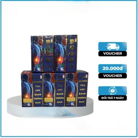 Viên Uống Xạ Hương Bách Thống Đan - Hỗ Trợ Giảm Đau Nhức Xương Khớp, Phong Thấp, Tăng Cường Linh Hoạt Mang Lại Sức Khỏe Tốt Hơn