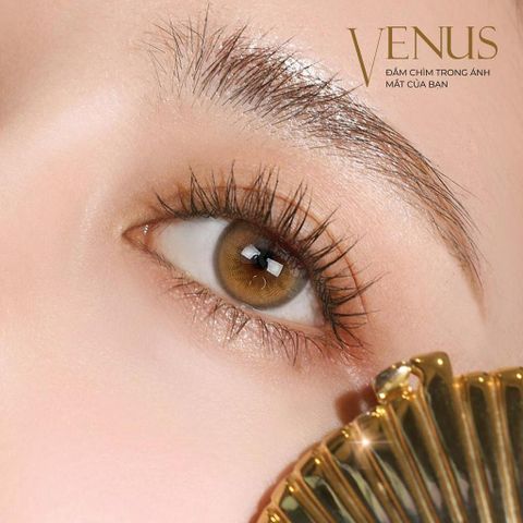 Kính áp tròng Venus Brown 0-6 độ cận - Silicone Hydrogel, thiết kế thời trang, thoáng khí, đường kính 14.0mm, tặng khay gương khi mua 2 chiếc