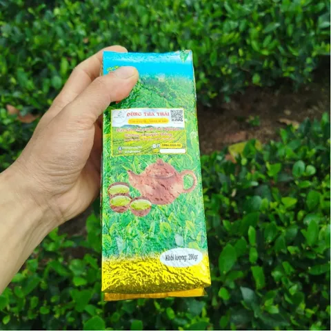 Trà Tấm Uống Gia Đình DTT - Trà Ngon Thái Nguyên Gói 250g/500g/1kg, Tặng 50 Túi Lọc Khi Mua 1kg, Uống Ngon, Giá Tốt