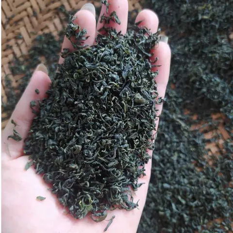 Trà Tấm Uống Gia Đình DTT - Trà Ngon Thái Nguyên Gói 250g/500g/1kg, Tặng 50 Túi Lọc Khi Mua 1kg, Uống Ngon, Giá Tốt