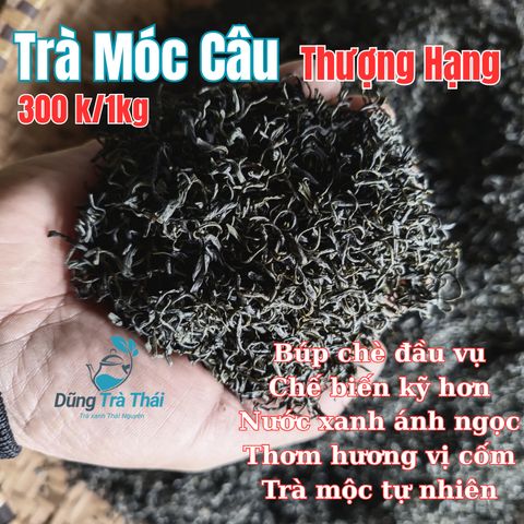 Trà Xanh Móc Câu Thượng Hạng DTT - Hương Cốm Đậm, Vị Ngọt Sâu, Cánh Đẹp - Thức Uống Đặc Sản (300K/kg)