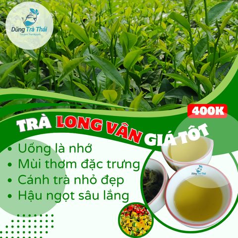 Trà Long Vân Móc Câu - Đặc Sản Thiên Nhiên Thái Nguyên, Hương Cốm Nguyên Chất, Gói 100g, 200g, 500g Hút Chân Không