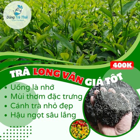Trà Long Vân Móc Câu - Đặc Sản Thiên Nhiên Thái Nguyên, Hương Cốm Nguyên Chất, Gói 100g, 200g, 500g Hút Chân Không