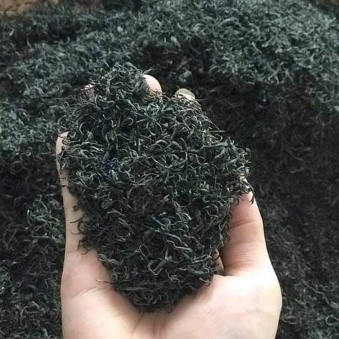 Trà Xanh Nõn Tôm DTT - Hương Thơm Ngọt, Vị Đậm, Đặc Sản Thượng Hạng, Phù Hợp Uống Hằng Ngày (350K/kg)