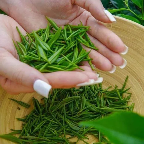 Trà Xanh Nõn Tôm DTT - Trà Cao Cấp Đậm Vị, Hậu Ngọt Vừa - Sản Phẩm Thượng Hạng Cho Người Yêu Trà (400k/kg)