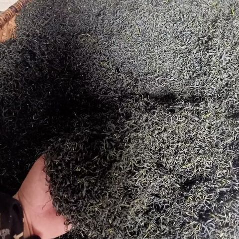 Trà Long Vân Nõn Tôm Thái Nguyên - Hương Cốm Tự Nhiên Đặc Trưng - Gói 100g, 200g, 500g - Thưởng Thức Vị Ngọt Dễ Chịu