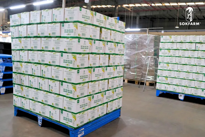 Combo 2 Hộp Mật Hoa Dừa Tươi Organic Sokfarm 330ml - Giải Khát Từ Thiên Nhiên, Bổ Sung Khoáng Chất, Truyền Thống Khmer Việt Nam