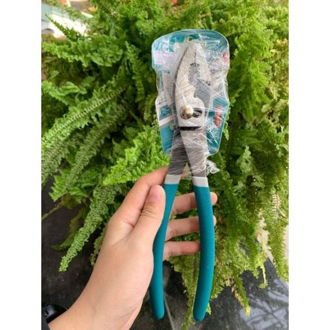 Kìm 2 Lỗ Total 10