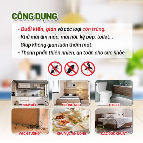 Chai Xịt Đuổi Kiến Sinh Học The Loco 260ml - An Toàn, Không Độc Hại, Tinh Dầu Tự Nhiên, Giải Pháp Đuổi Côn Trùng Hiệu Quả