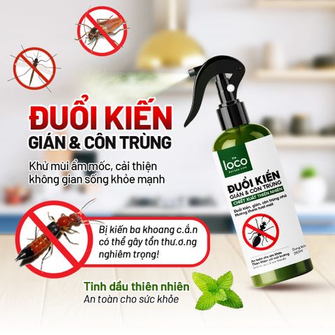 Chai Xịt Đuổi Kiến Sinh Học The Loco 260ml - An Toàn, Không Độc Hại, Tinh Dầu Tự Nhiên, Giải Pháp Đuổi Côn Trùng Hiệu Quả